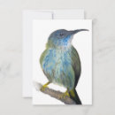 Recherche de de colibri vœux cartes Bleu