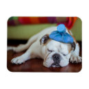 Recherche de malade magnets Amour