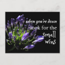 Recherche de mots sages cartes postales Sagesse