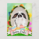 Recherche de oeuf de lapin de pâques cartes postales Coloré