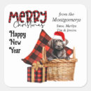 Recherche de labrador retriever noir autocollants Drôle