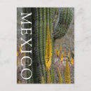 Recherche de agave cartes postales Désert