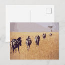 Recherche de animaux safari cartes postales Faune africaine