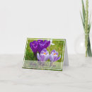 Recherche de crocus Floral