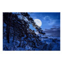 Recherche de sapin posters Hiver