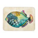 Zoek naar aquarium magneten Portret