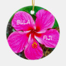 Recherche de ketmie ornements Tropical