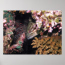 Recherche de pointage vous posters Photographie