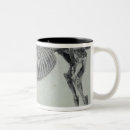 Recherche de george stubbs tasses Anatomie
