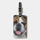 Recherche de bruges accessoires Belge