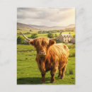 Recherche de lait cartes postales Aquarelle