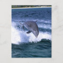 Recherche de dauphin sautant posters Animal