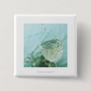 Recherche de vin blanc badges Alcool