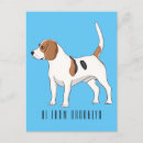 Recherche de chien beagle cartes postales Dog