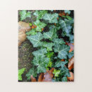 Recherche de lierre puzzles Vigne