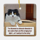 Recherche de humour de chat ornements Chats
