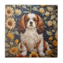 Recherche de cavalier carreaux Dog