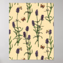 Zoek naar aromatherapie posters Illustratie