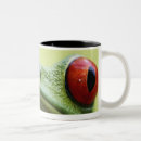 Recherche de yeux verts tasses Nature