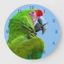 Recherche de perroquet vert horloges Nature