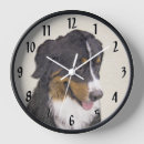 Zoek naar bernese klokken Puppy