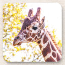 Recherche de verre girafe de dessous de dessous de verres Taches