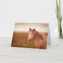 Zoek naar paarden kaarten Mooi