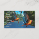 Recherche de ailes rouges cartes visite Oiseau