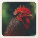 Zoek naar hanen onderzetters Rooster