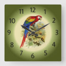 Recherche de plumage art Oiseau