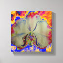 Zoek naar witte orchidee kunst Orchid white