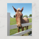 Recherche de curieux cartes postales Ferme