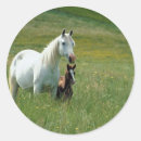 Recherche de jument autocollants Chevaux