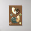 Zoek naar taupe kunst Bruin
