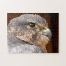Recherche de pélerin puzzles Toute personne
