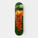 Recherche de nature comp skateboards Flower