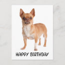Recherche de le chiwawa vœux cartes Chiot
