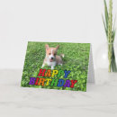 Recherche de puppy birthday Animal