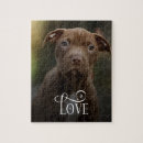 Recherche de chien de jouet puzzles Animaux