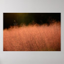 Zoek naar zuiden posters Natuur