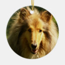 Recherche de colley ornements Chien