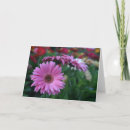 Recherche de gerber vœux cartes Jardin