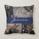 Recherche de animal familier coussins Coutume