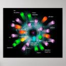 Zoek naar deeltjes fysica Higgs boson