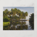 Zoek naar dominicaanse republiek briefkaarten Palm