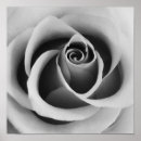 Recherche de make up artist posters Rose