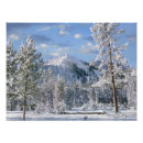 Recherche de yellowstone posters Amérique du nord
