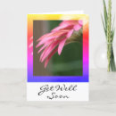 Recherche de souhaits photographie Fleur