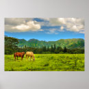Zoek naar hawaiian posters Zomer
