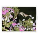 Recherche de mite photographie Floral